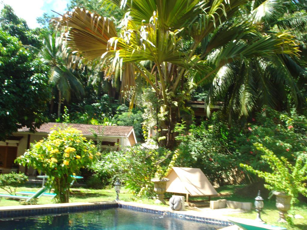 Cote Sud - Unique Villa & Bungalows Intendance Road Takamaka Phòng bức ảnh