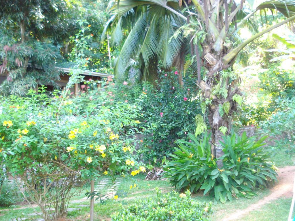 Cote Sud - Unique Villa & Bungalows Intendance Road Takamaka Phòng bức ảnh