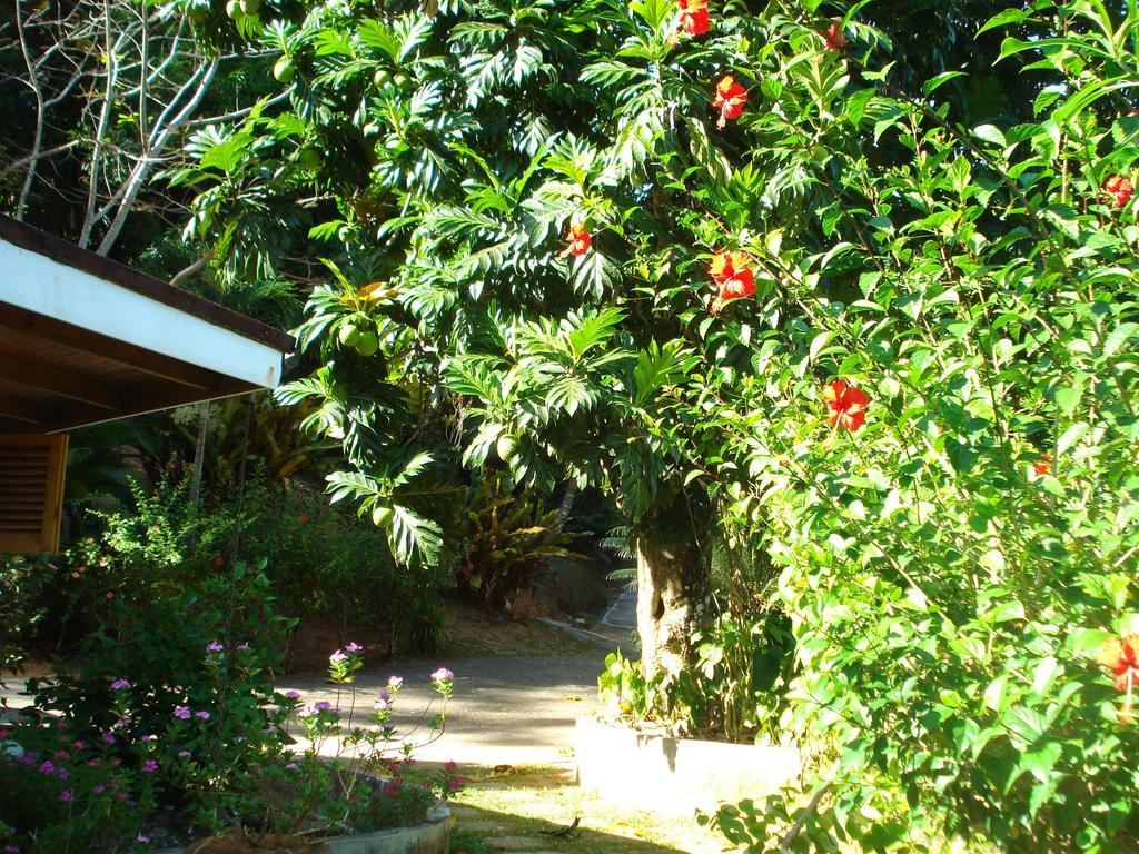Cote Sud - Unique Villa & Bungalows Intendance Road Takamaka Phòng bức ảnh