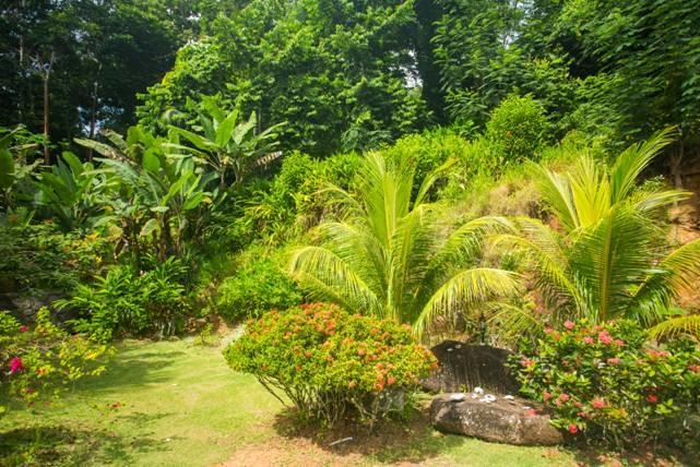 Cote Sud - Unique Villa & Bungalows Intendance Road Takamaka Ngoại thất bức ảnh